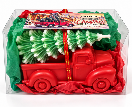 Bringing Christmas Home