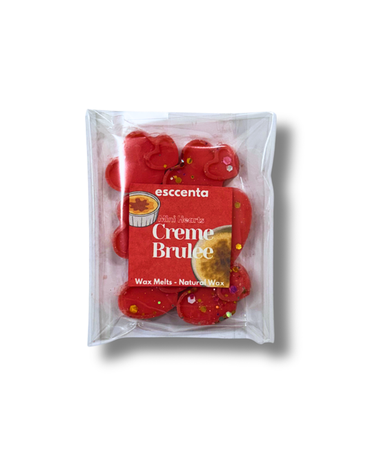 Wax Melts - mini heats - CREME BRULEE